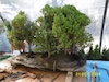 P1140072