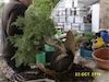 P1140114